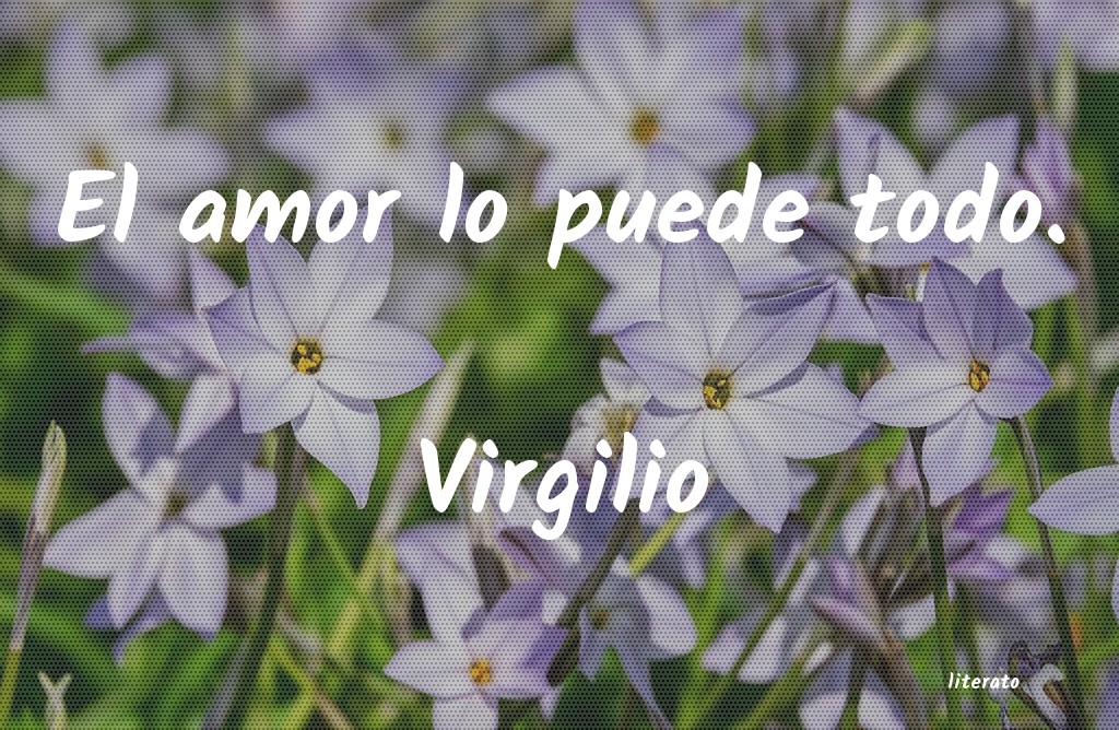 Frases de Virgilio