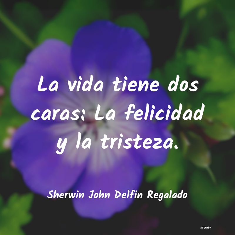 Frases de Sherwin John Delfin Regalado