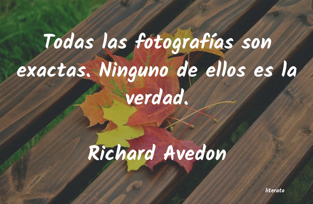 frases de Richard Avedon
