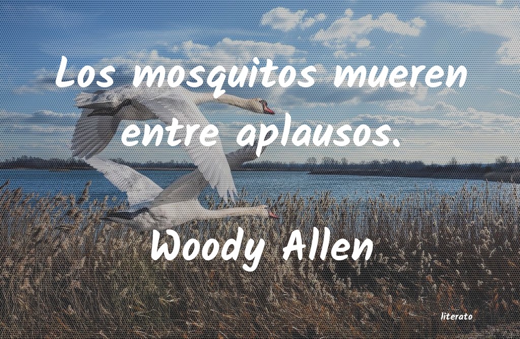 frases de Woody Allen