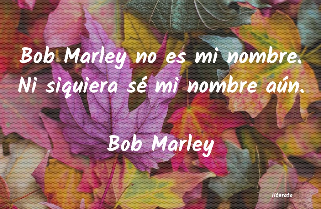 ideologÃ­a de bob marley