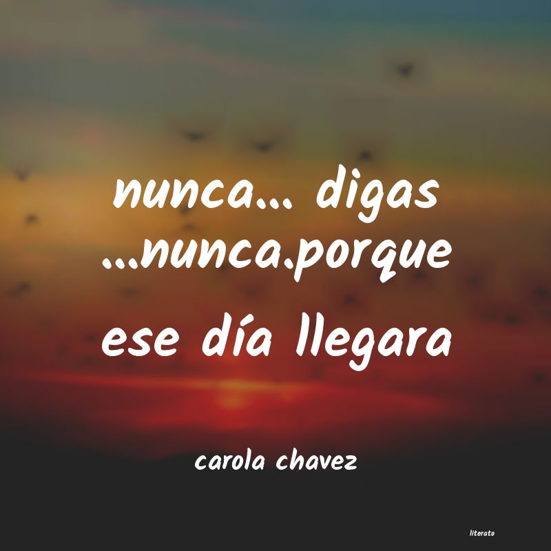 frases de carola chavez