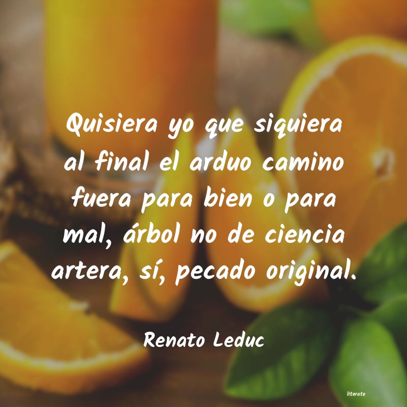 Frases de Renato Leduc