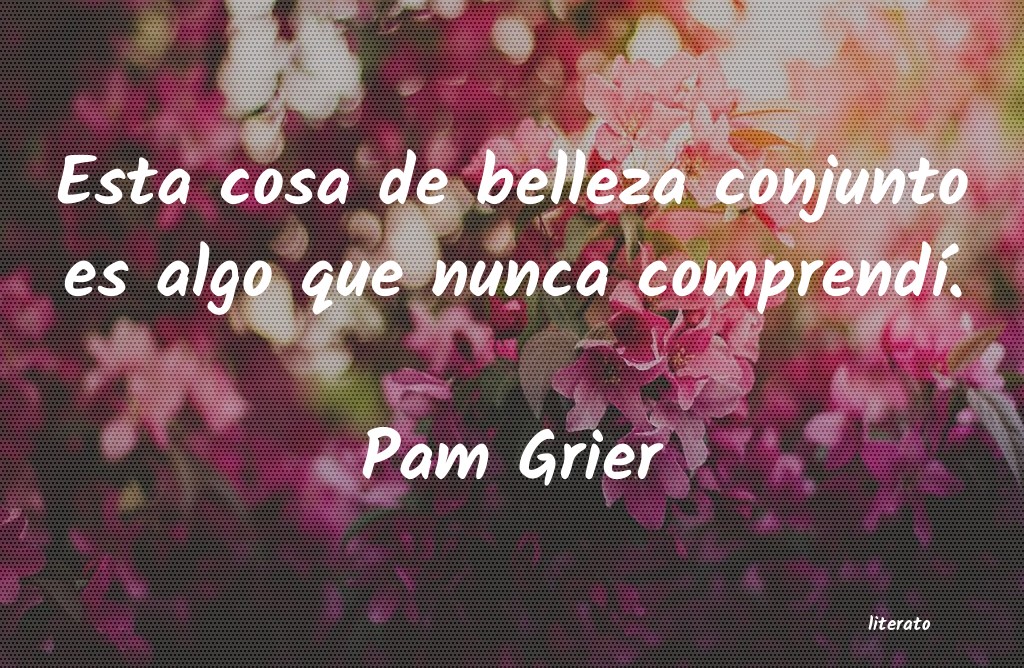 Frases de Pam Grier