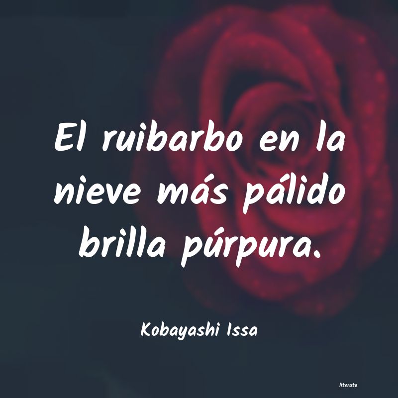 frases de Kobayashi Issa