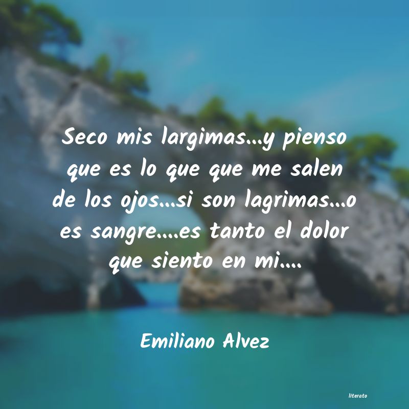 Frases de Emiliano Alvez
