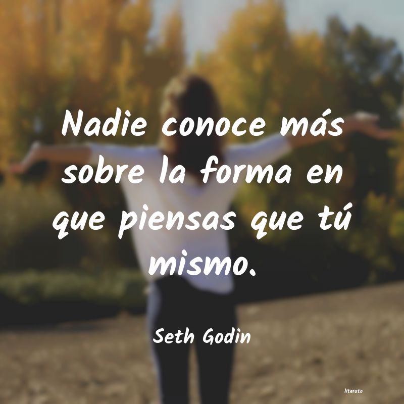 Frases de Seth Godin