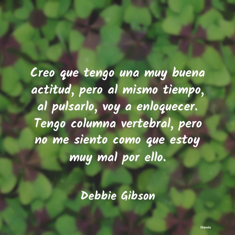 frase como amiga tengo defectos pero como enemiga