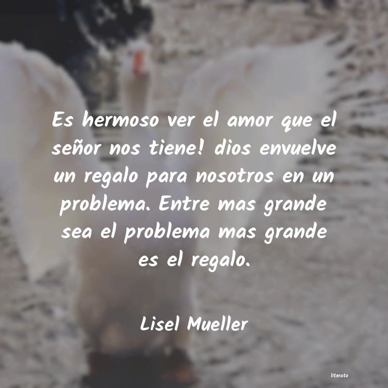 Frases de Lisel Mueller