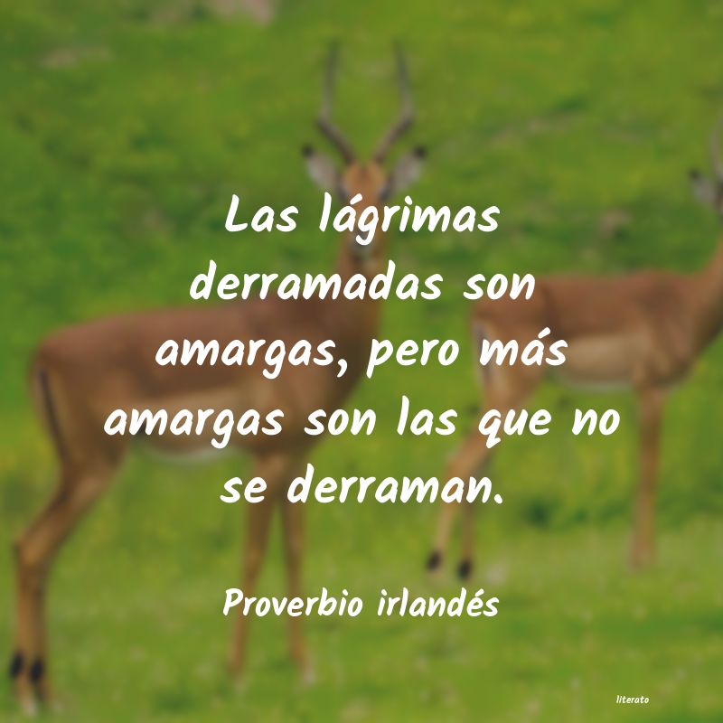 Frases de Proverbio irlandés