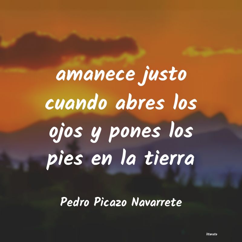 Frases de Pedro Picazo Navarrete