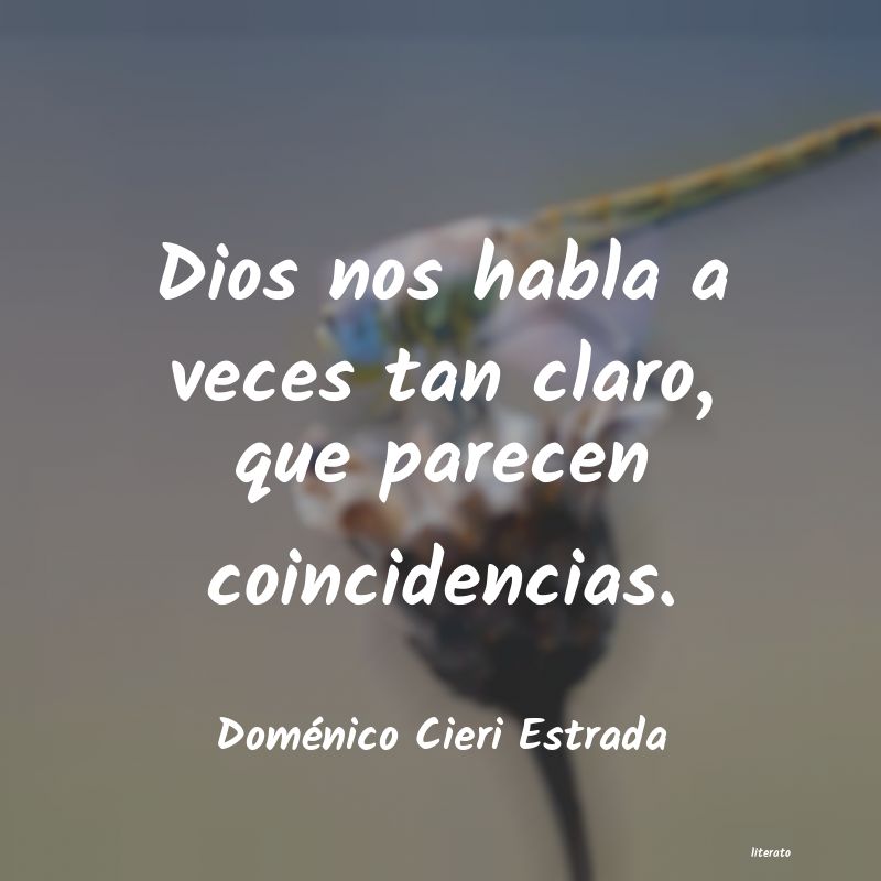 Frases de Doménico Cieri Estrada