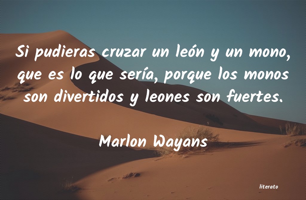 Frases de Marlon Wayans