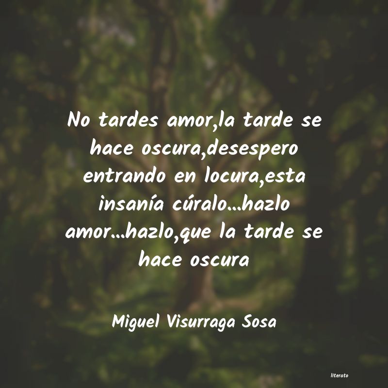 Frases de Miguel Visurraga Sosa