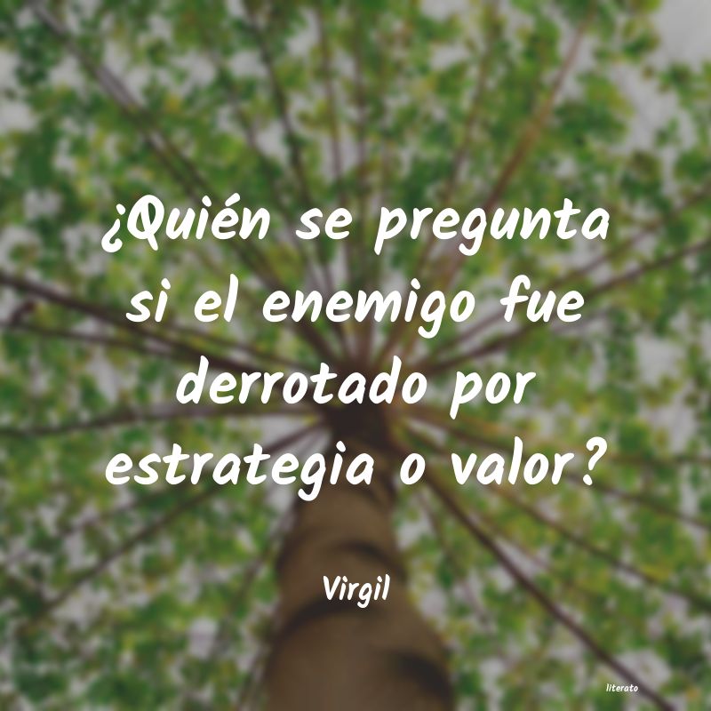 Frases de Virgil