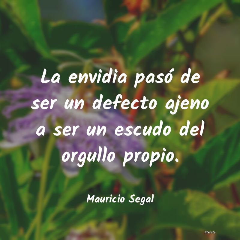 Frases de Mauricio Segal