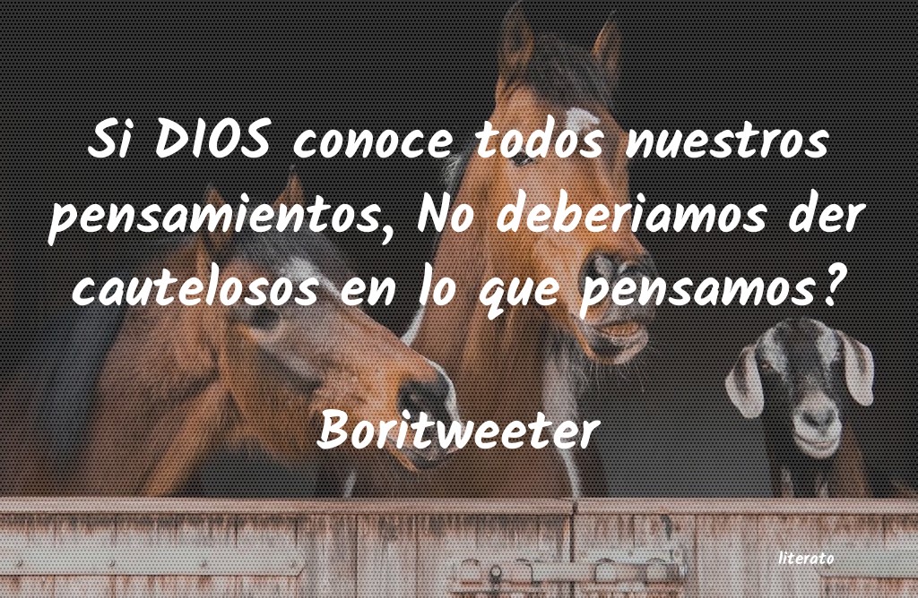 Frases de Boritweeter