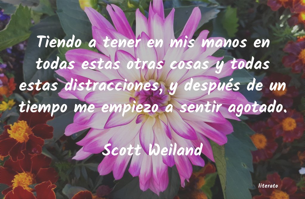 Frases de Scott Weiland