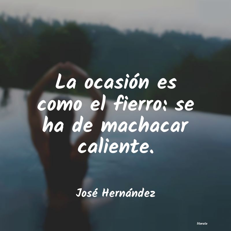 Frases de José Hernández