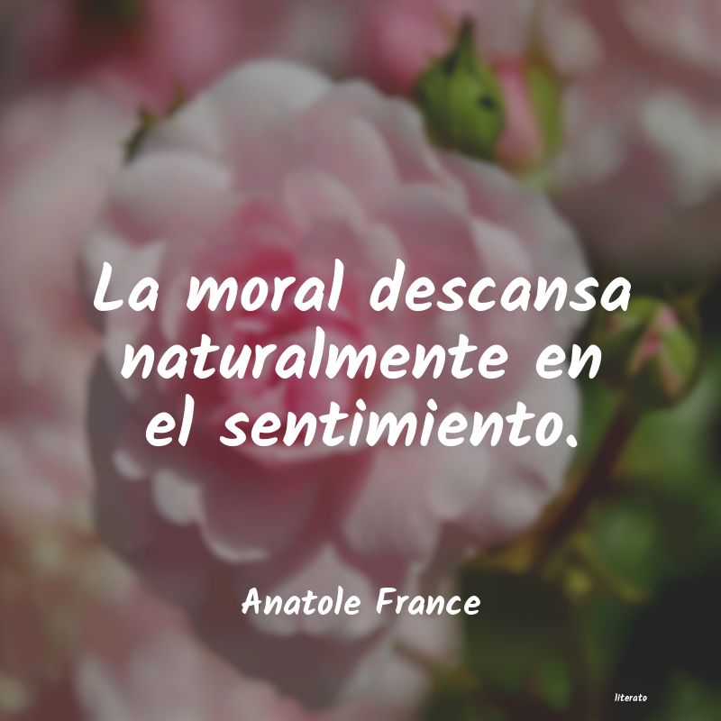 Frases de Anatole France