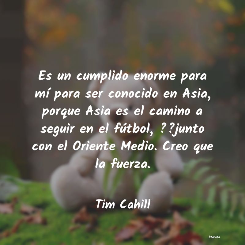Frases de Tim Cahill