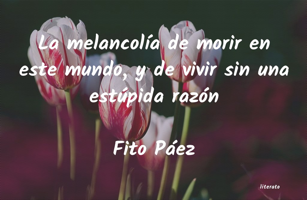 Frases de Fito Páez