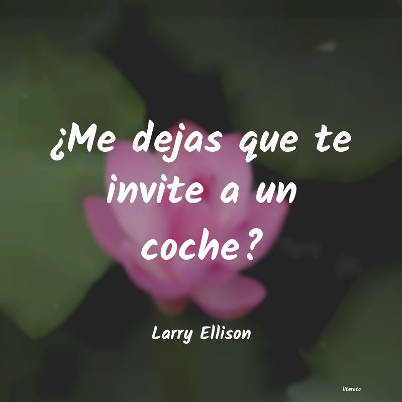 Frases de Larry Ellison