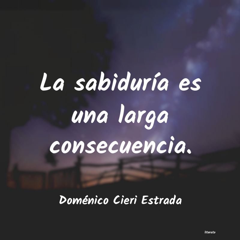 Frases de Doménico Cieri Estrada