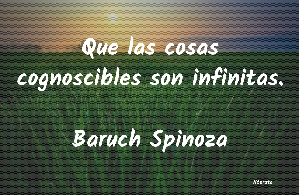 Frases de Baruch Spinoza