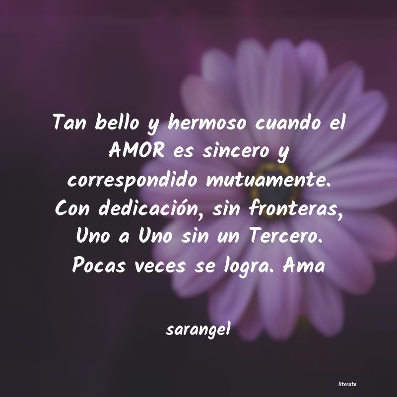 frases de sarangel
