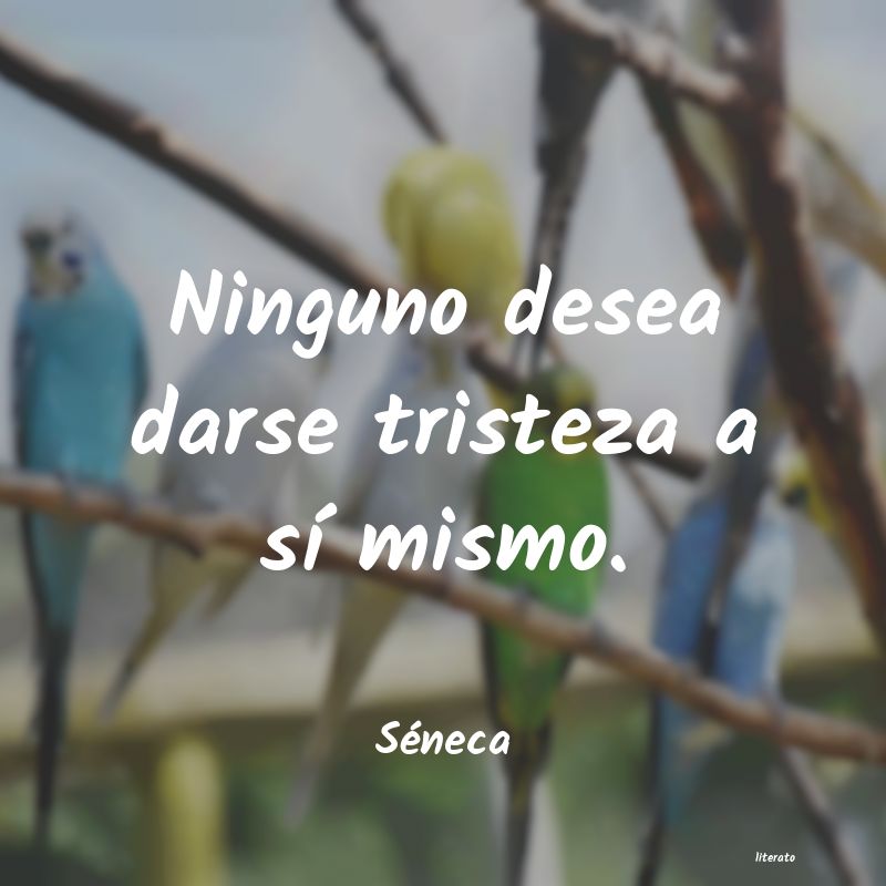 frases de Séneca