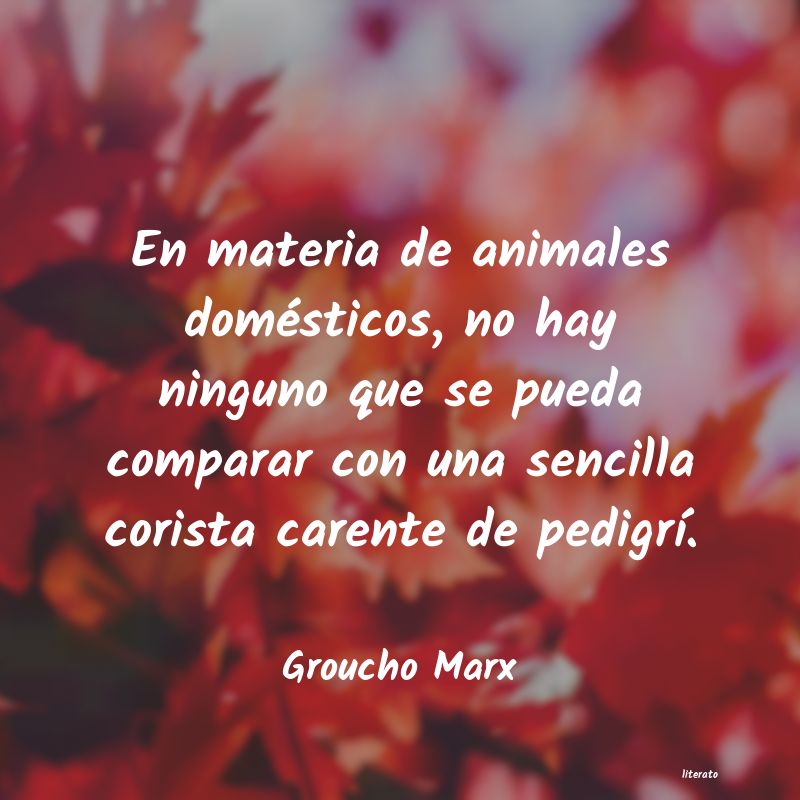 Frases de Groucho Marx