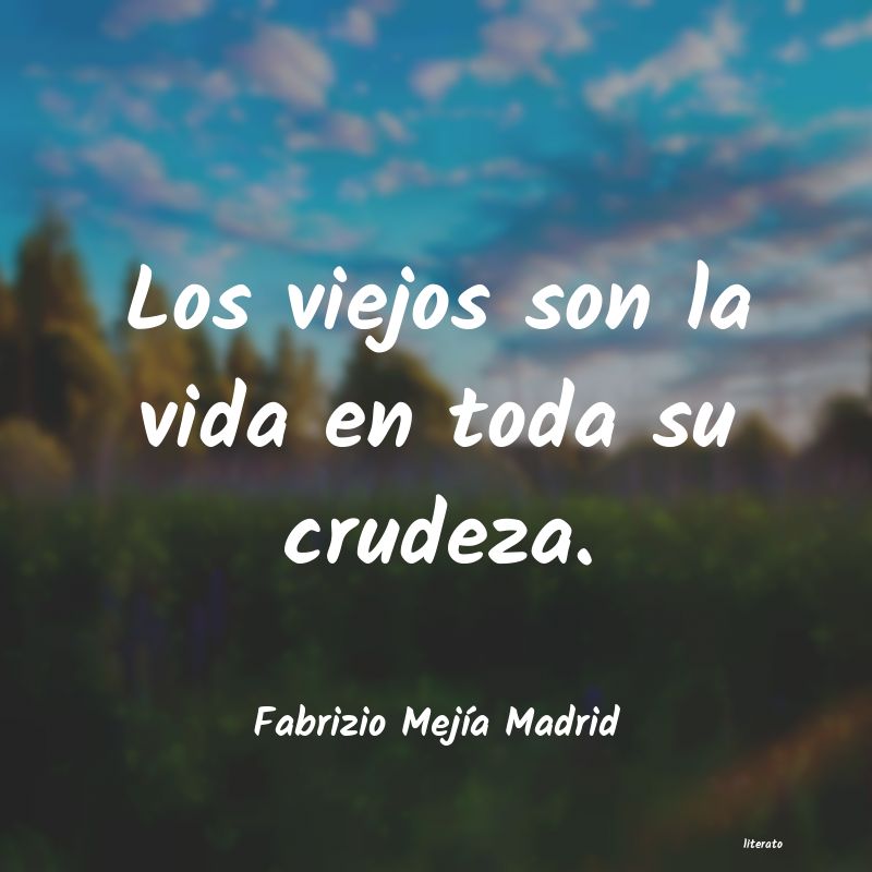 Frases de Fabrizio Mejía Madrid