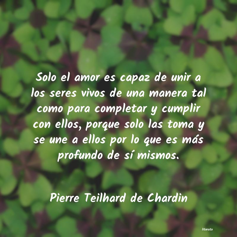 frases de Pierre Teilhard de Chardin
