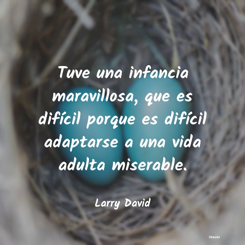 Frases de Larry David