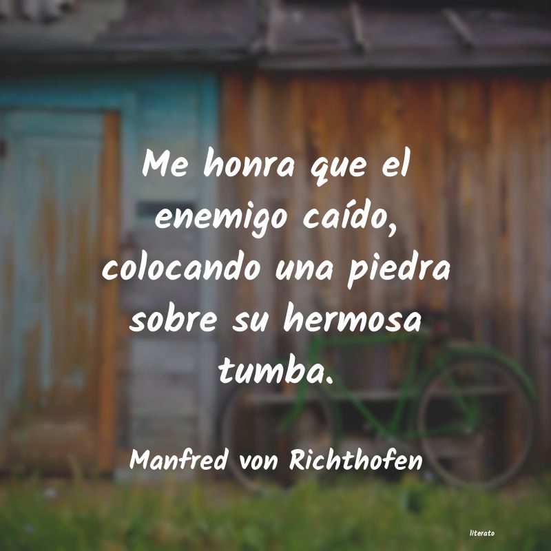 Frases de Manfred von Richthofen