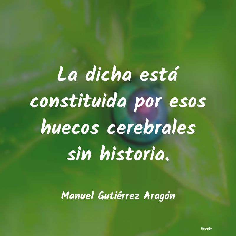 frases de Manuel Gutiérrez Aragón