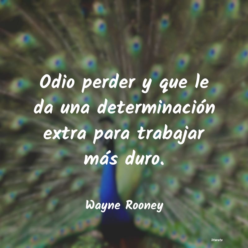 frases de Wayne Rooney