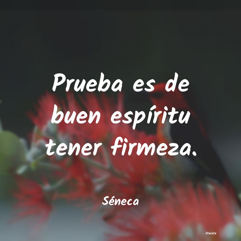 Frases de Séneca