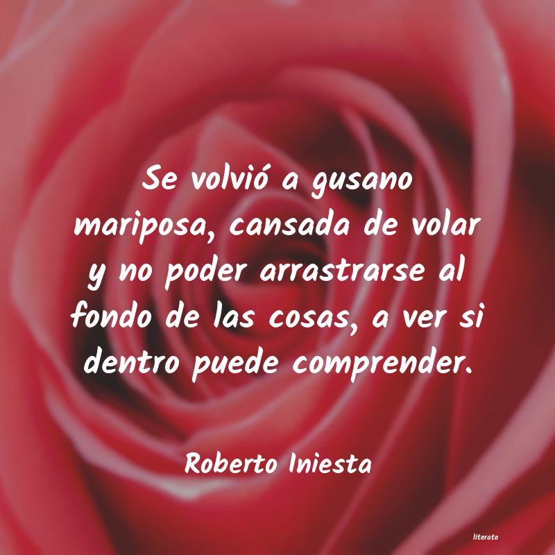 frases de Roberto Iniesta