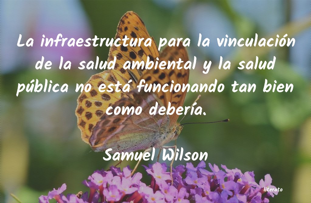 Frases de Samuel Wilson