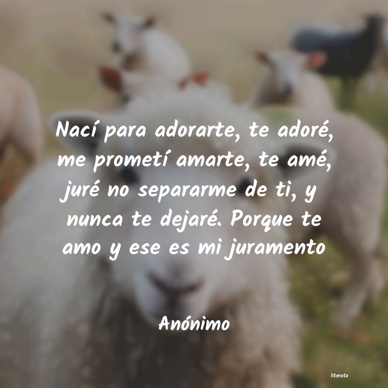 frases