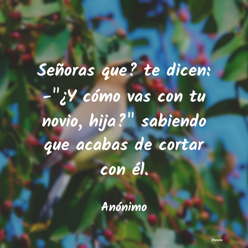 frases