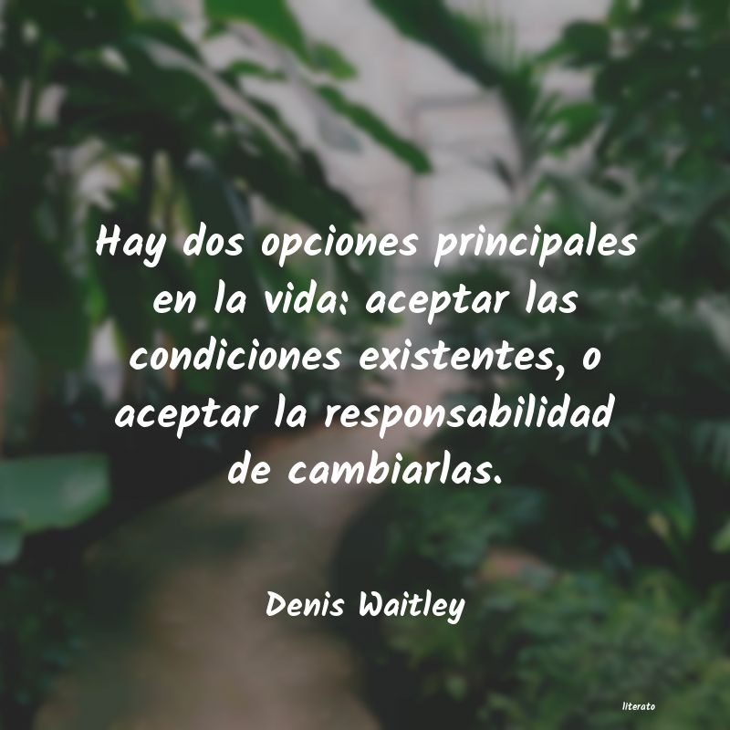 Frases de Denis Waitley