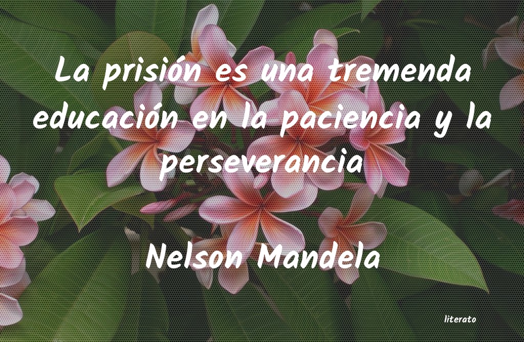 frases de Nelson Mandela