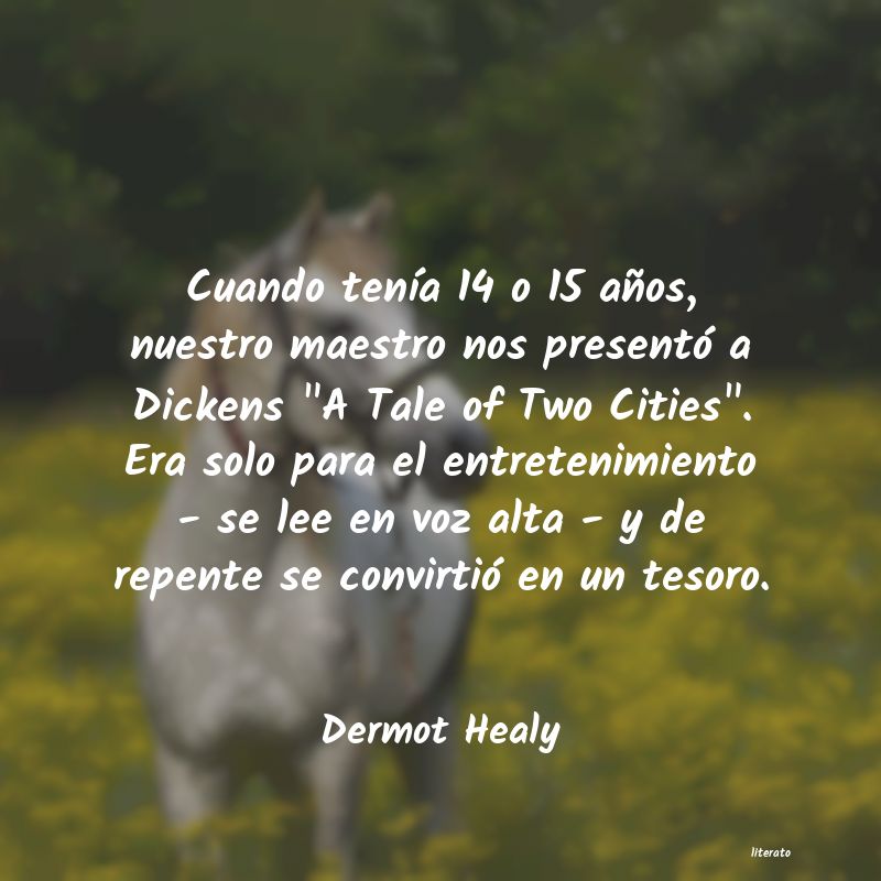 Frases de Dermot Healy
