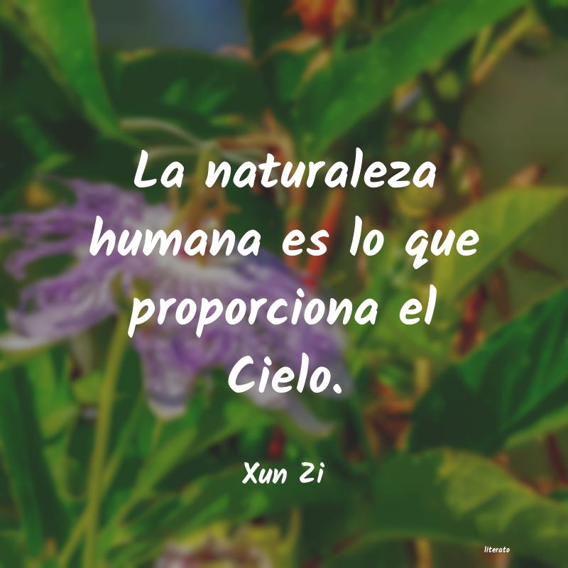 Frases de Xun Zi