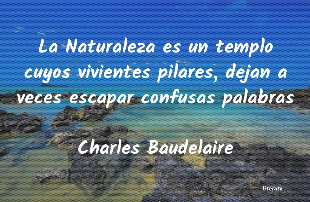 frases de Charles Baudelaire