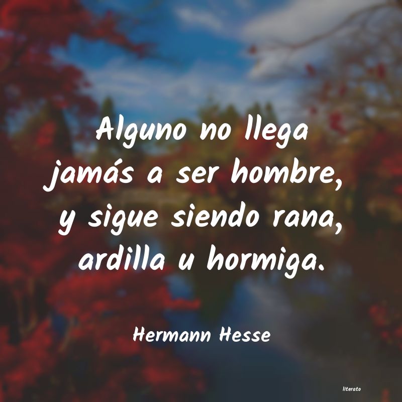 Frases de Hermann Hesse