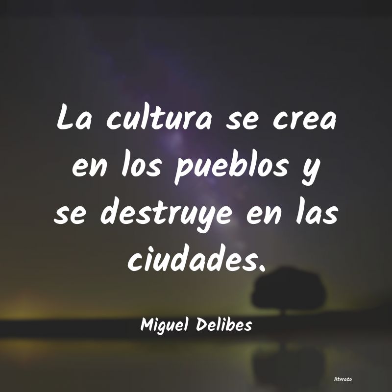 Frases de Miguel Delibes